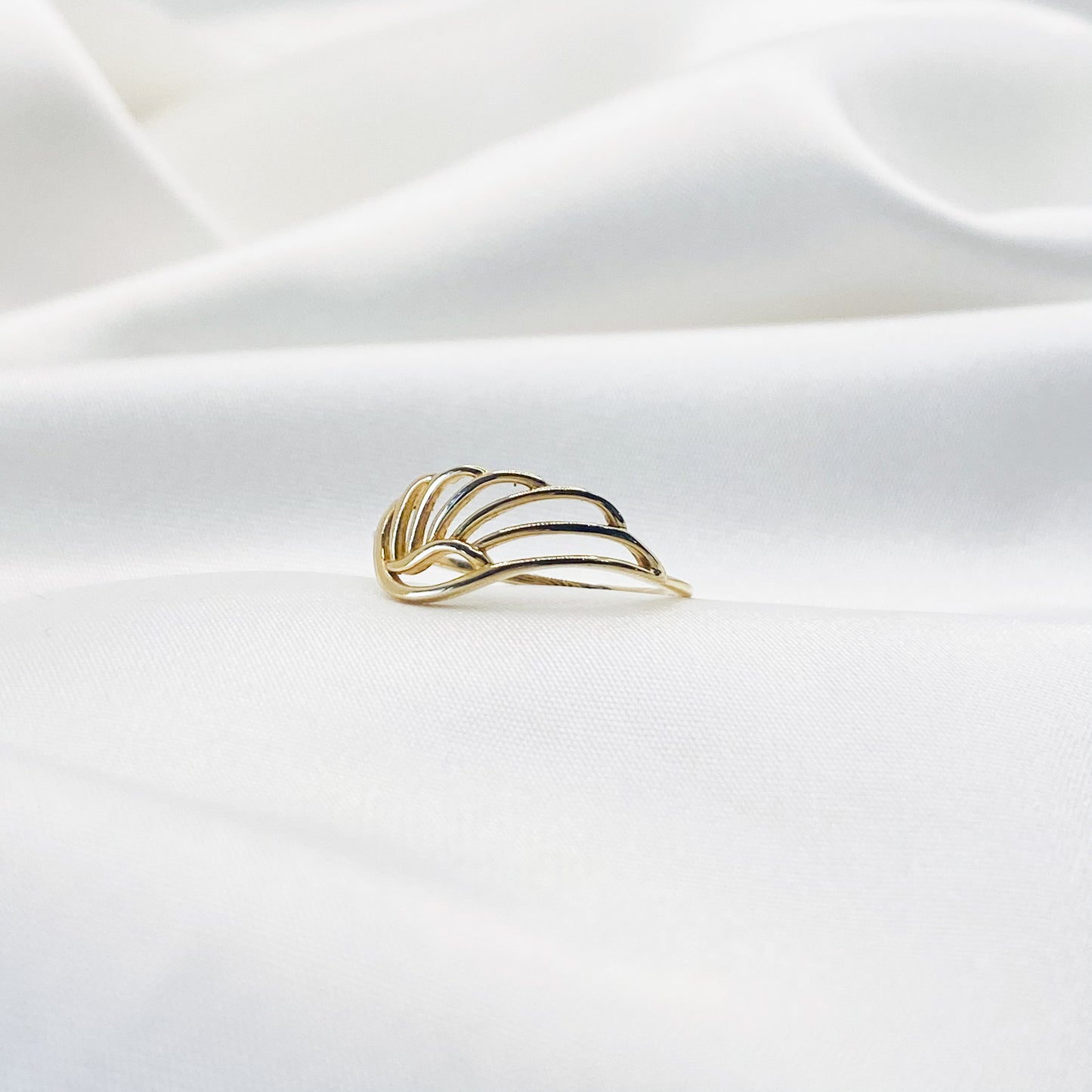 Anillo Ala 10K