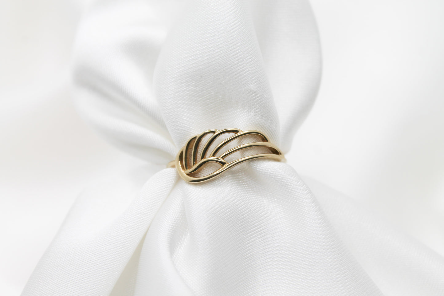 Anillo Ala 10K