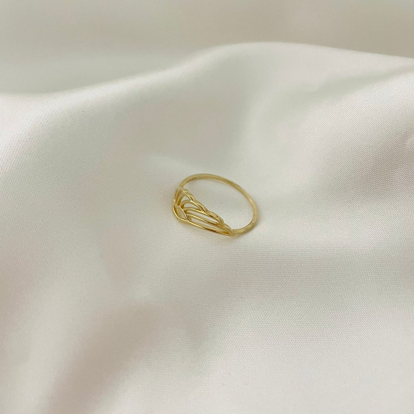 Anillo Ala 10K